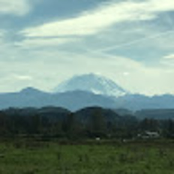 Meet your Posher, Annette - Picture 1 of 1